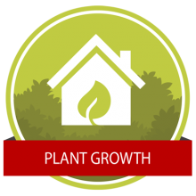 Plant Growth Experimentation