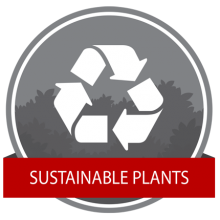 Sustainable Plants