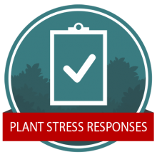 Stress Response Badge